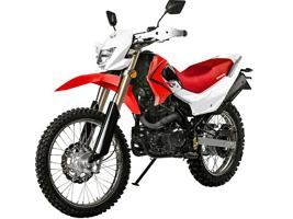 irbis ttr 250 specifiche