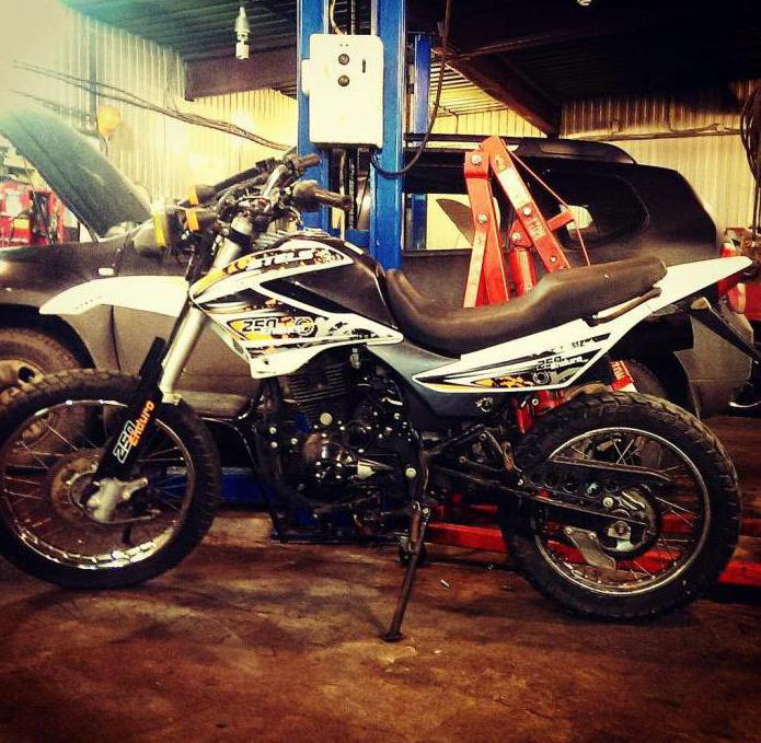 steli 250 enduro 