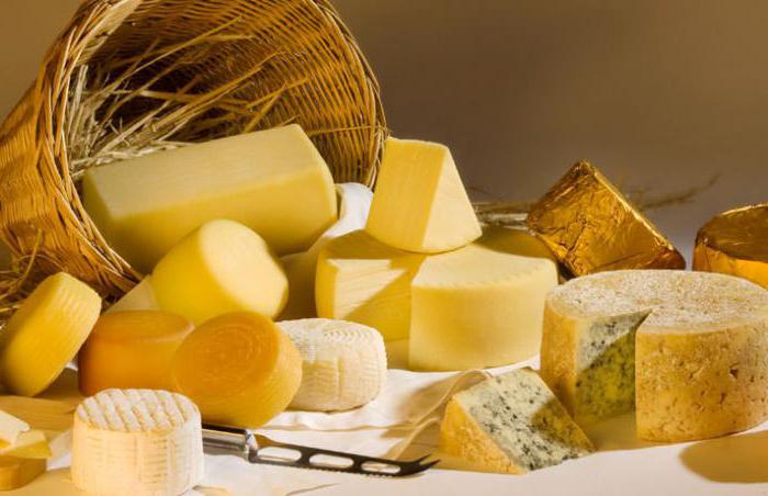 E 'possibile il formaggio criceti Djungar