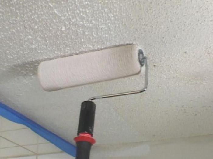 Soffitto del soffitto con vernice a base d'acqua: istruzioni passo-passo