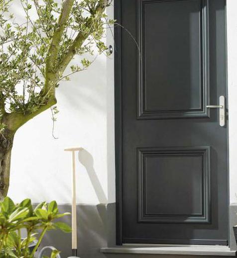 Porte d'ingresso in metallo: dimensioni con scatola. Dimensioni standard e non standard