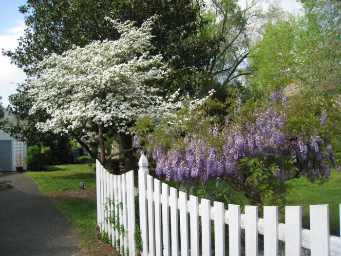 recinti in legno per il giardino anteriore