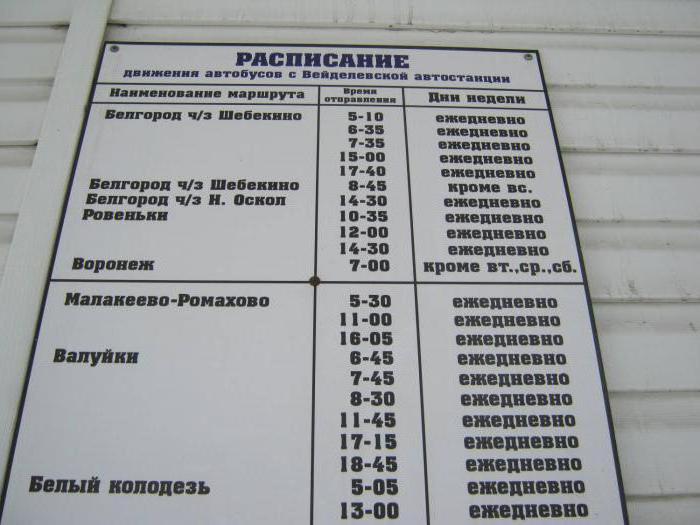 Pilgrim Center Belgorod: caratteristiche