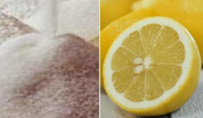 limoni con zucchero per l'inverno