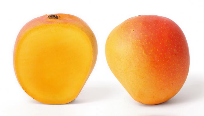 descrizione del frutto mango della pianta