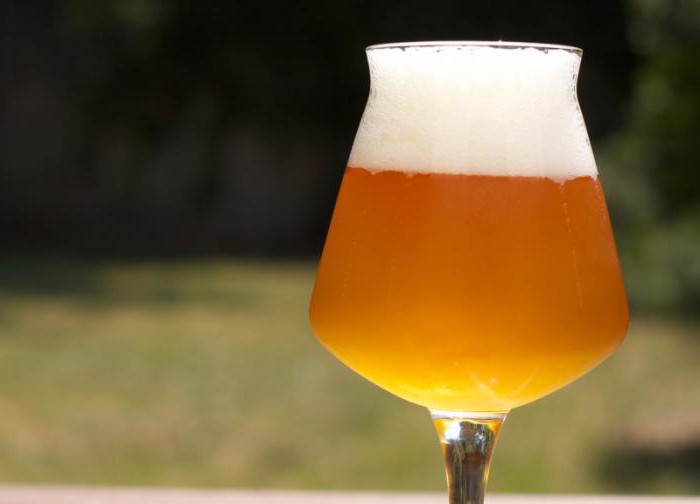 Birra di frumento: ricetta di cottura, descrizione del processo, ingredienti