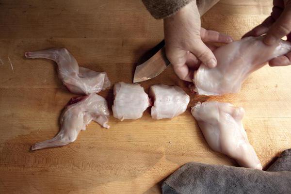 quanto cucinare un coniglio in tempo per un bambino