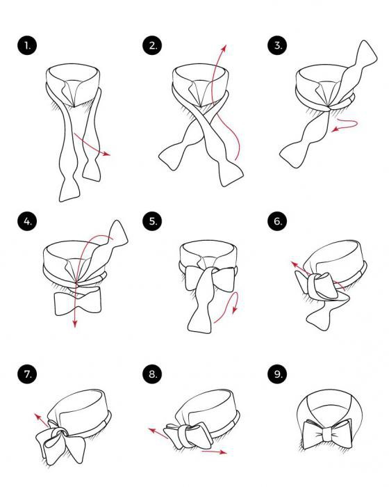  come legare un accessorio per una farfalla maschio 