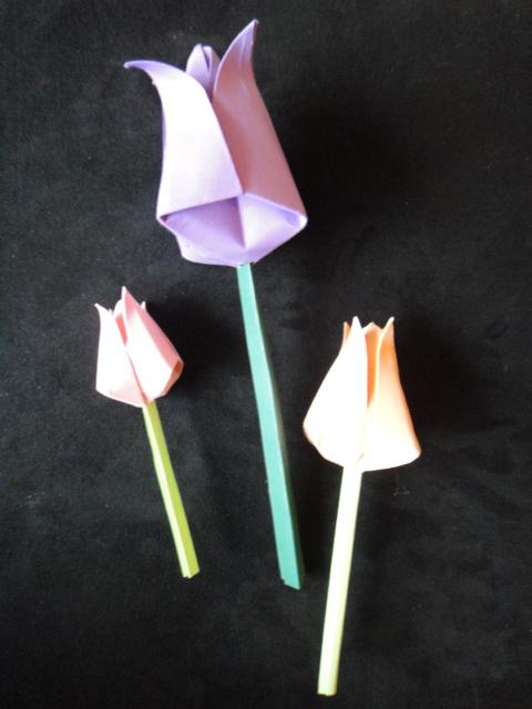 Come fare un tulipano di carta: il nostro master class ci dirà