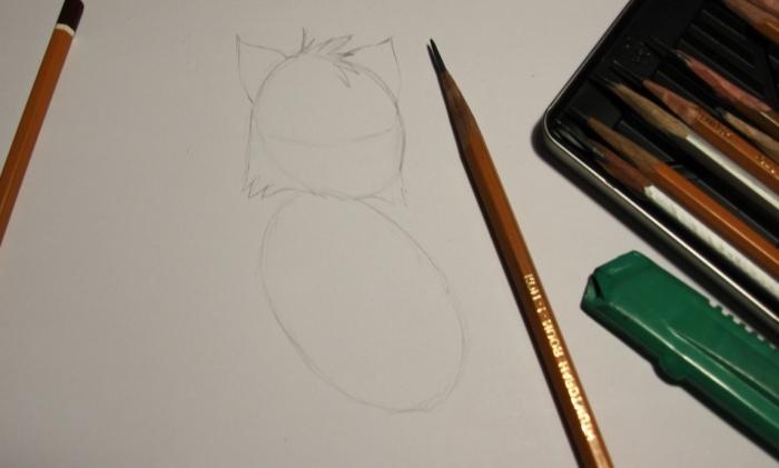 come disegnare una matita da gattino