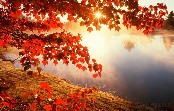 paesaggio autunnale