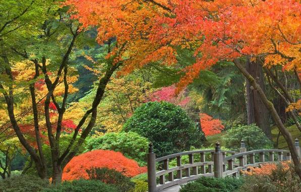 Paesaggio autunnale attraverso gli occhi di scrittori, compositori e poeti