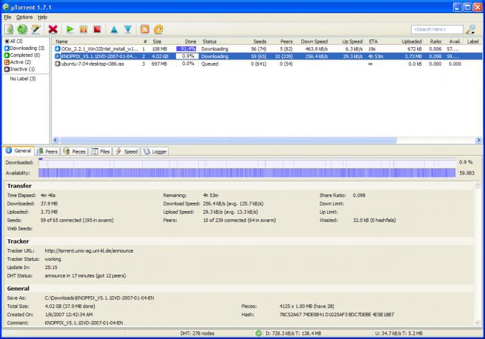 Cosa sono sid, feste, distribuzione: tutto sul torrent