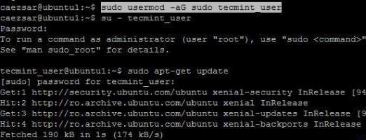 Come aggiungere un utente al gruppo Linux usando la riga di comando?