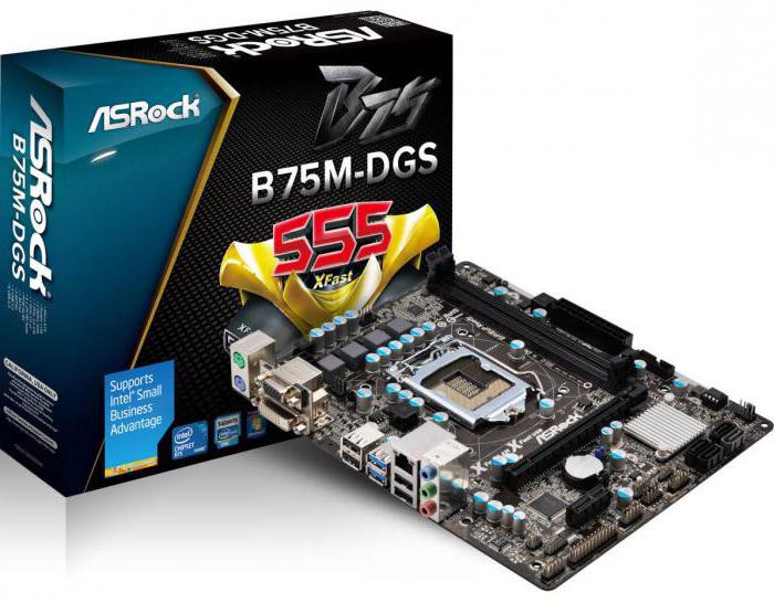 scheda madre asrock b75m dgs