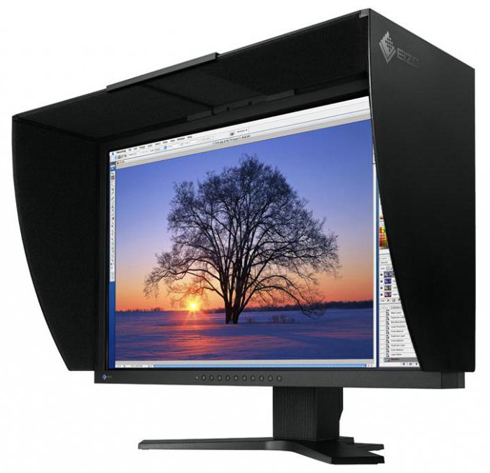 monitora eizo 