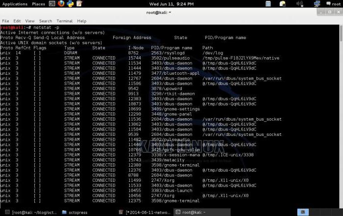 una descrizione del comando netstat