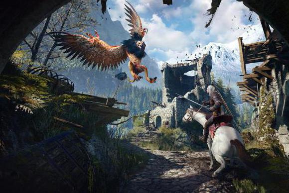 Questioni di passaggio "The Witcher 3: Wild Hunt" 