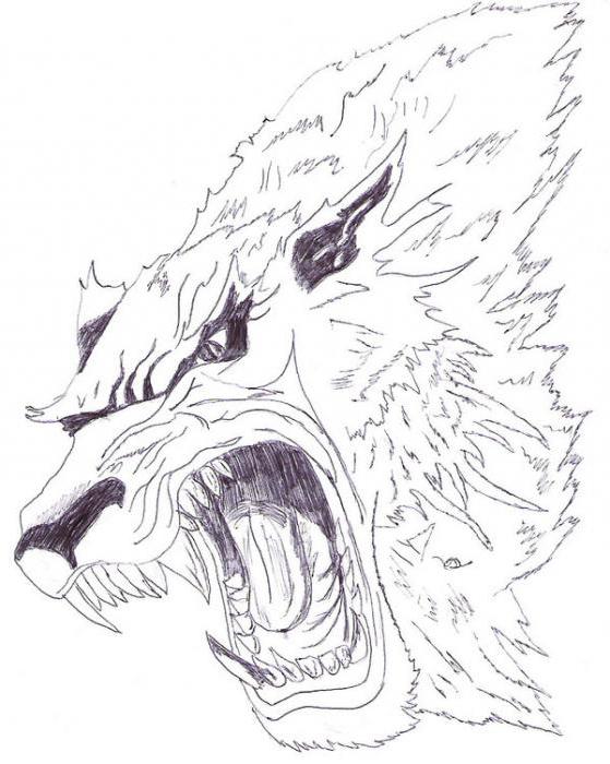 Werewolf: un tatuaggio con un significato