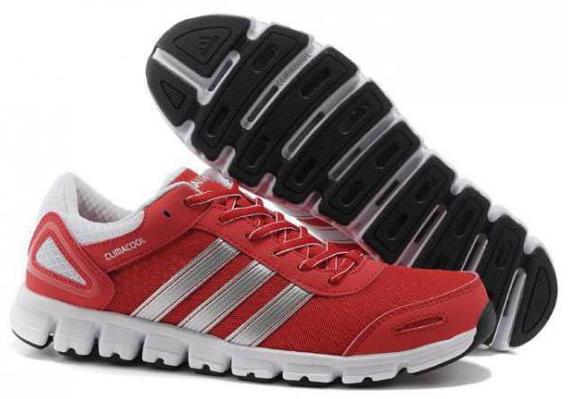 Scarpe da ginnastica Adidas Climacool - scarpe sportive che portano piacere