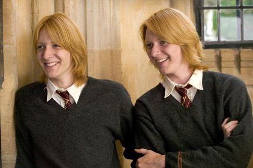 George Weasley e Fred Weasley sono gemelli birichini dalla storia di un ragazzo sopravvissuto