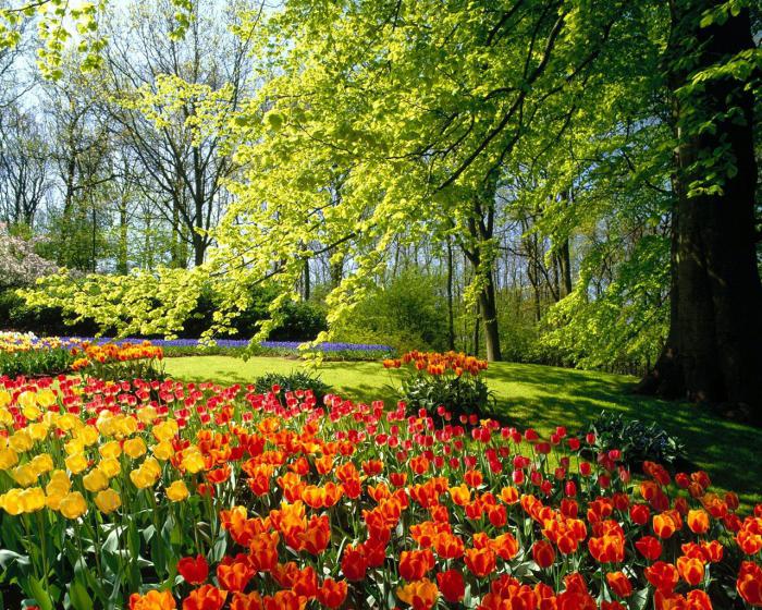 Quando inizia la primavera. Segni e segni