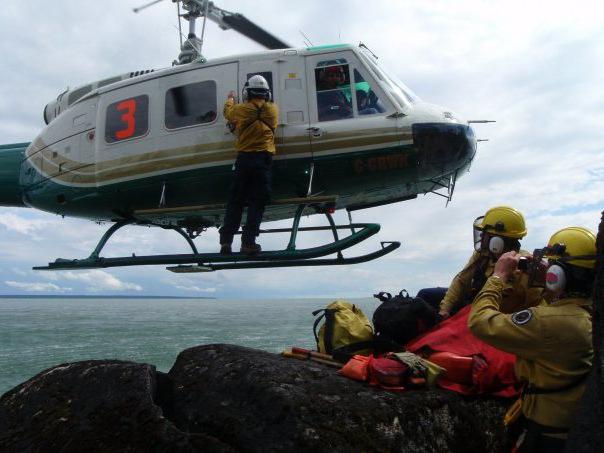 conservazione e protezione delle foreste