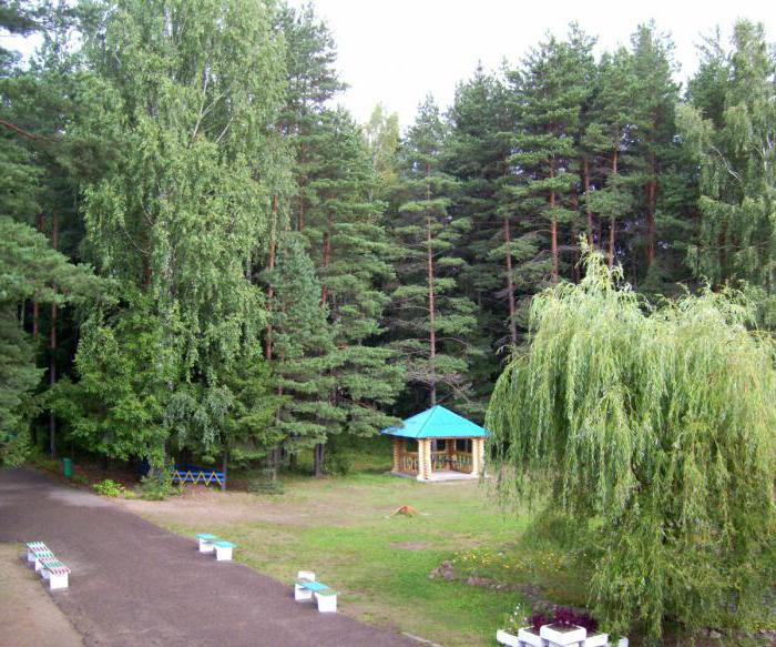 Laghi della regione di Vitebsk: descrizione, foto