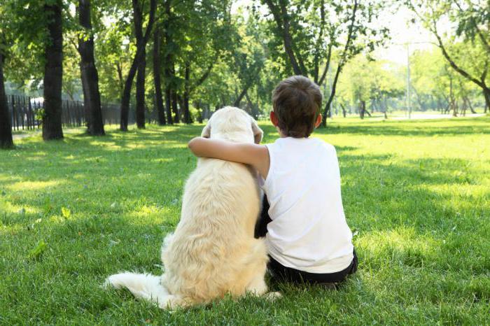 Parco della Cultura e Riposo (Aquila): per tutti