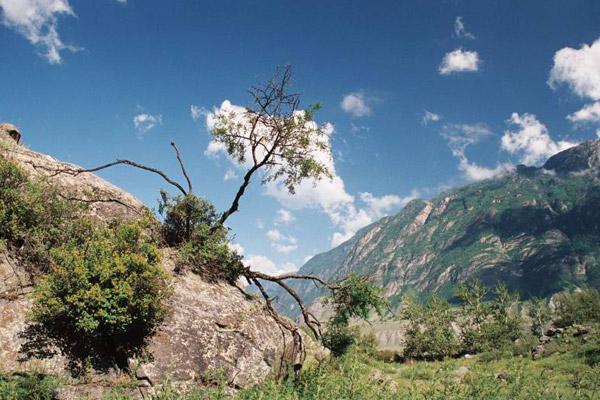 Natura del territorio dell'Altaj: cento opportunità di svago