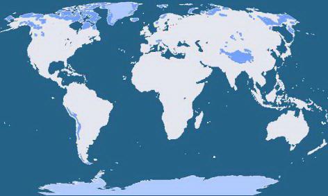 posizione geografica della zona artica