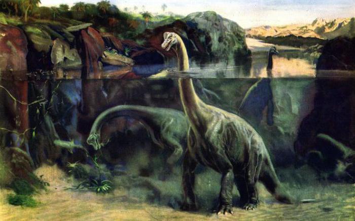 Dinosauri dal collo lungo: varietà, descrizione, habitat