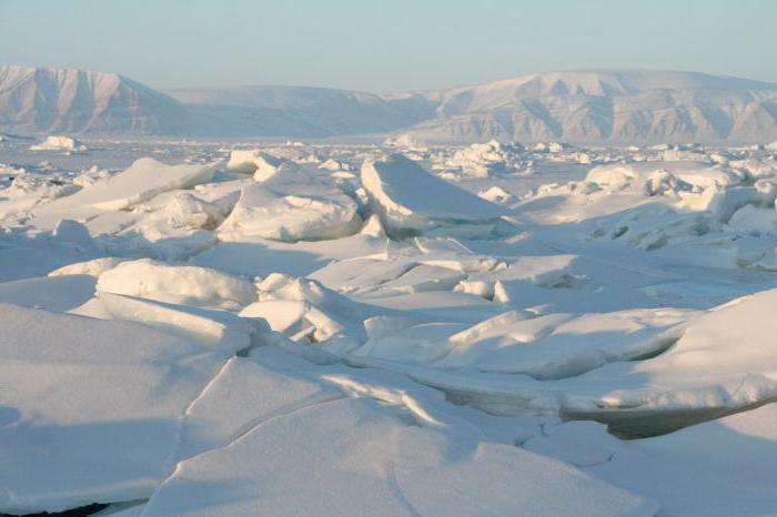 che oceani stanno lavando la Russia