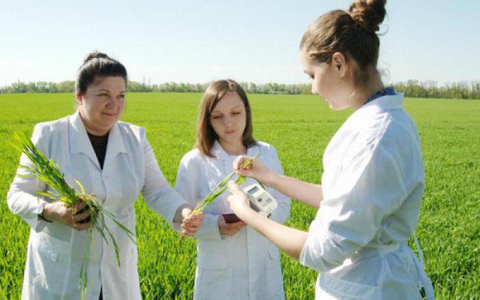 Krasnodar, Università Agraria: facoltà