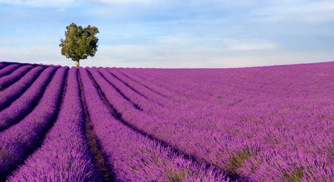 aree naturali in Francia 