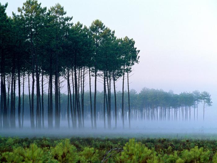 Francia qual è la zona naturale