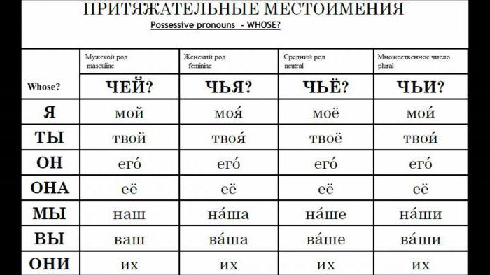 Pronomi possessivi in ​​lingua russa. Le loro caratteristiche, esempi di utilizzo nel turnover sostenibile.