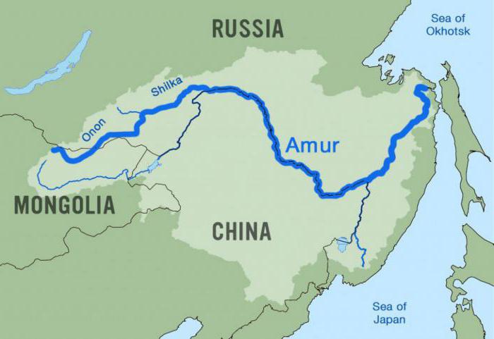 Il fiume Amur: uso economico e descrizione. Il fiume Amur - foto