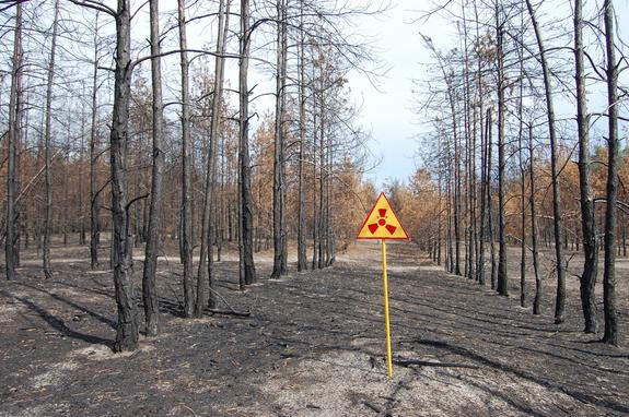 Misteriosa Chernobyl: fatti interessanti sulla zona di esclusione