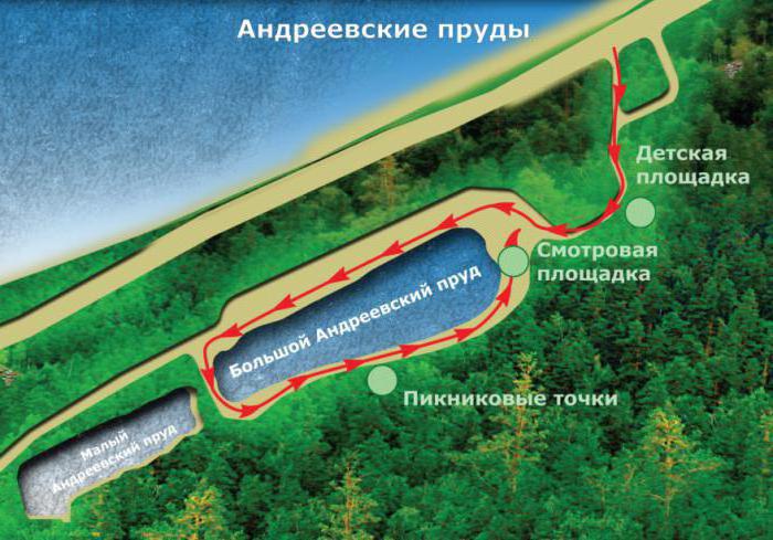 Stagni di Andreevskie (Saratov): descrizione. Come arrivare?