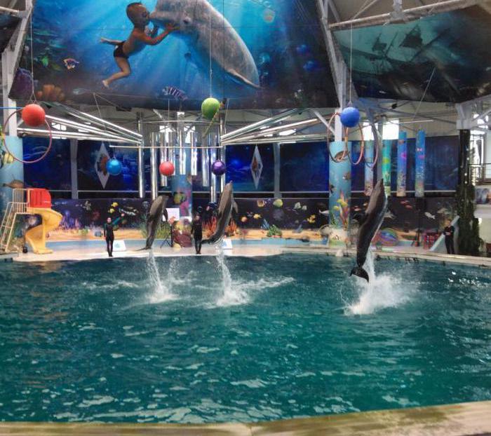 Modalità di funzionamento di Evpatoria Dolphinarium 