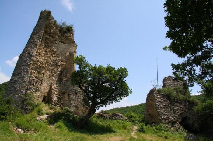 museo di Nino Pirosmani