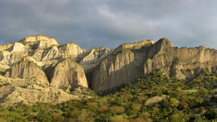 sagaregio Georgia