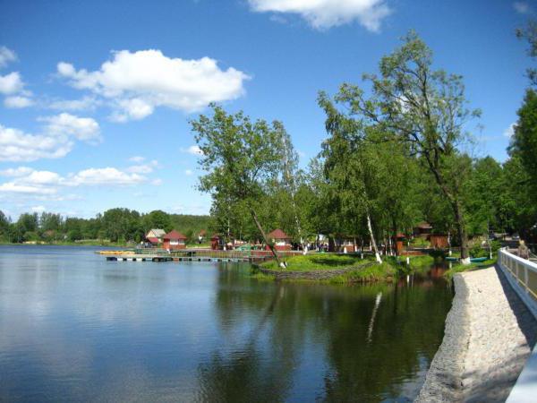 Il lago Koltushskoe è un posto eccellente per il riposo e la pesca (regione di Leningrado)