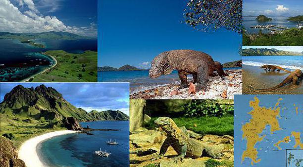 parco nazionale di Komodo in Indonesia