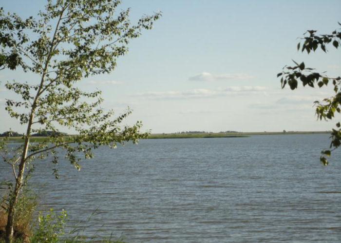 Peschanoe Lake (Altai Territory): descrizione del bacino, attività ricreative, pesca