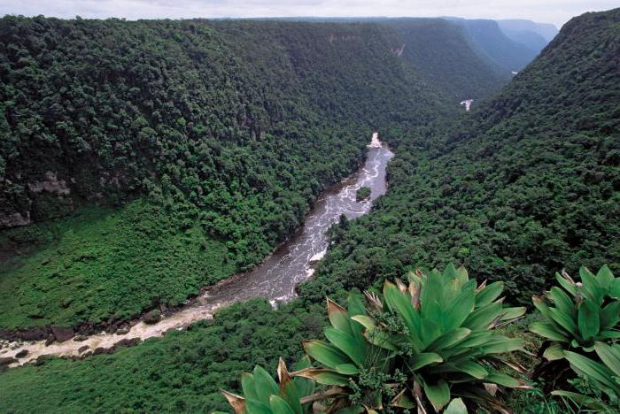 Paesi dell'Amazzonia e delle pianure di La Plata