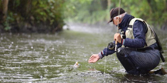 Il pesce morde prima della pioggia?