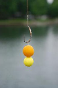 I segreti della pesca: come piantare le boilies?