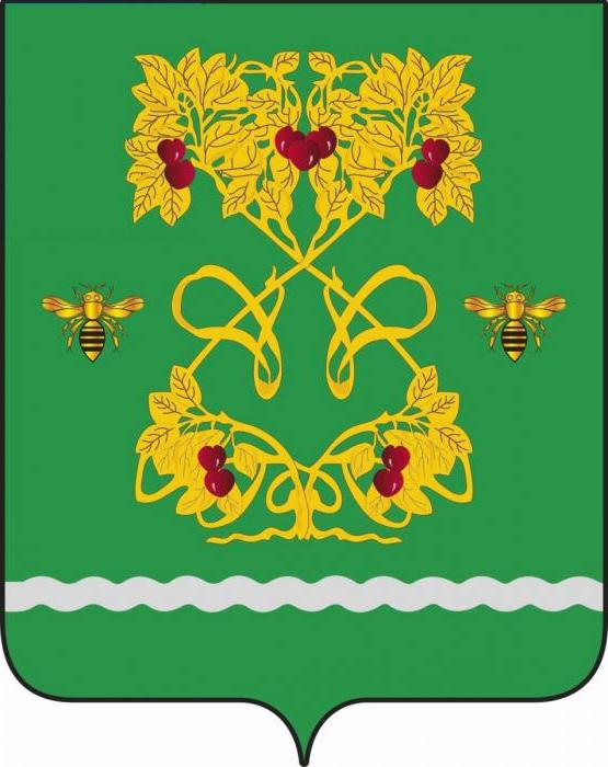 emblema della foto della regione di Tambov 